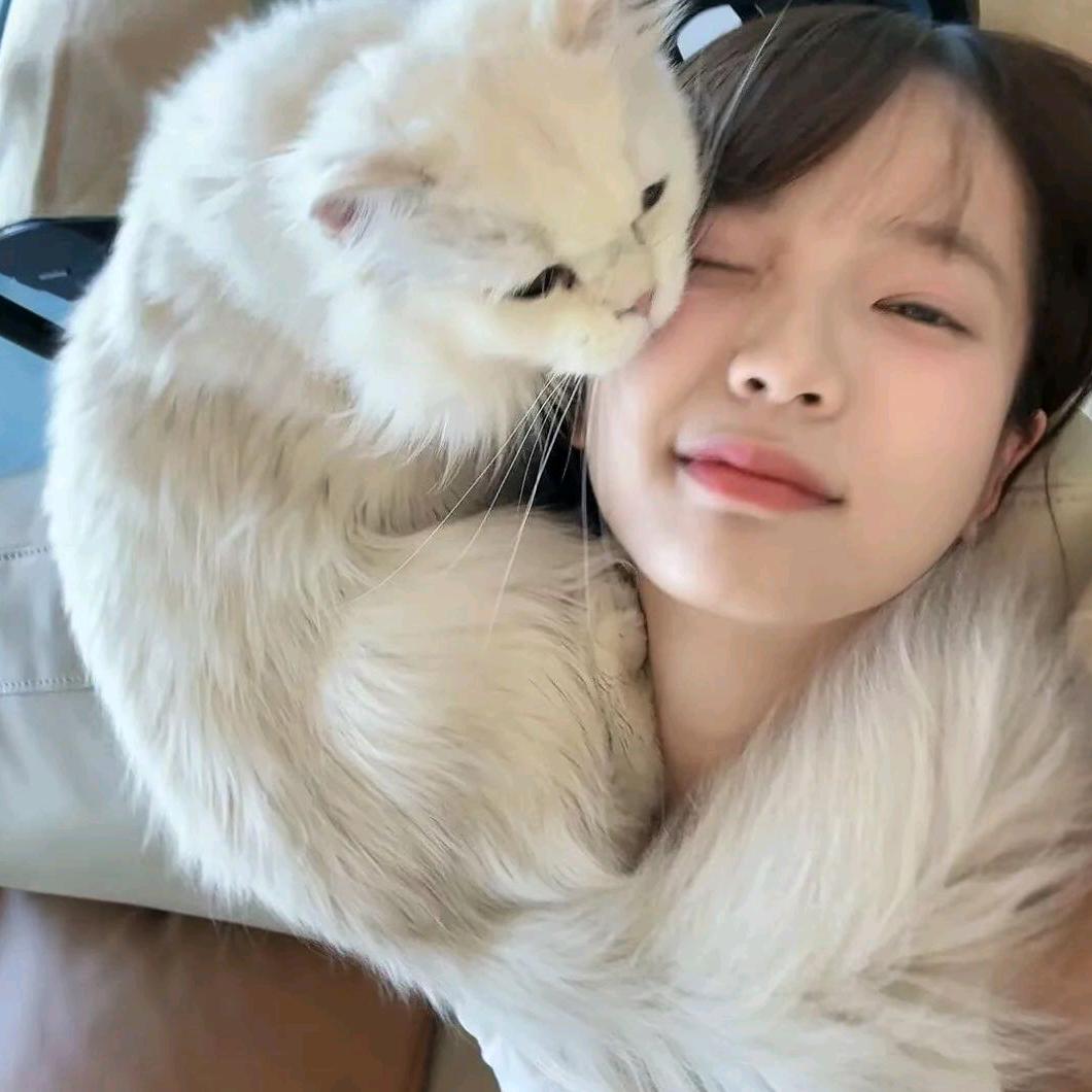 雪糕