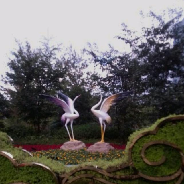 ㅤㅤ︃ㅤ︃︅︄︃