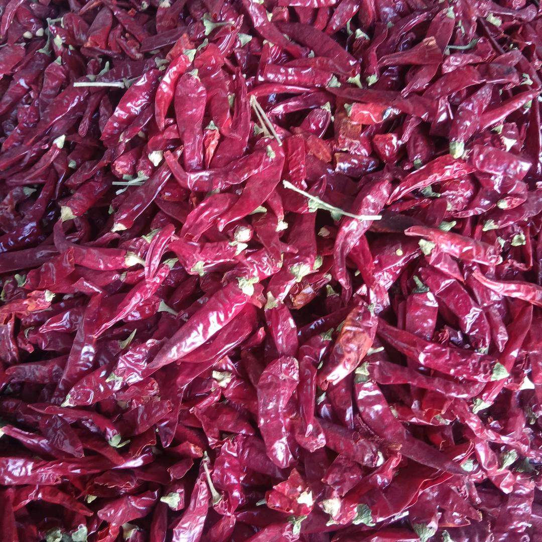 远方，新疆，辣椒