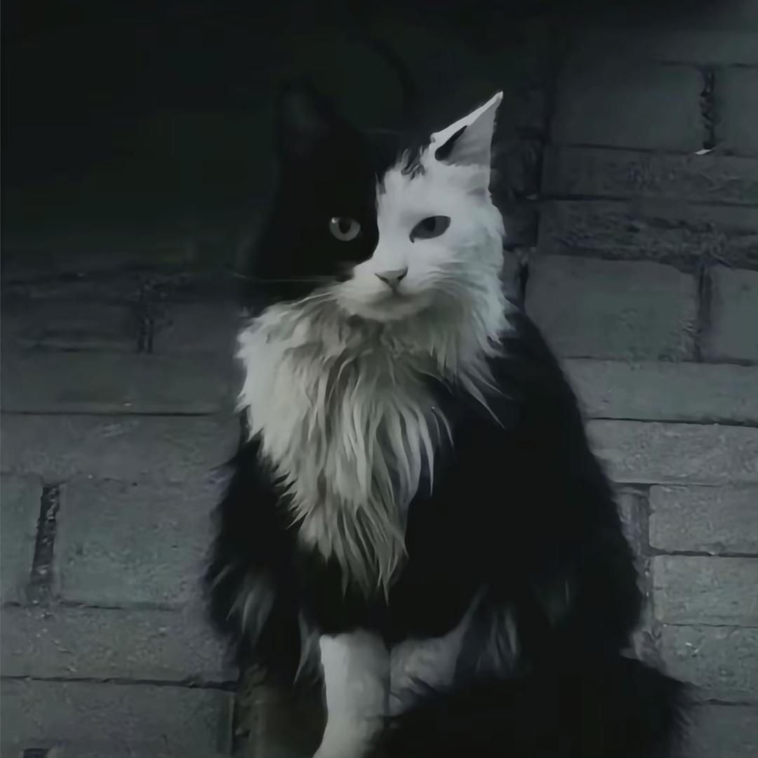 猫头鹰