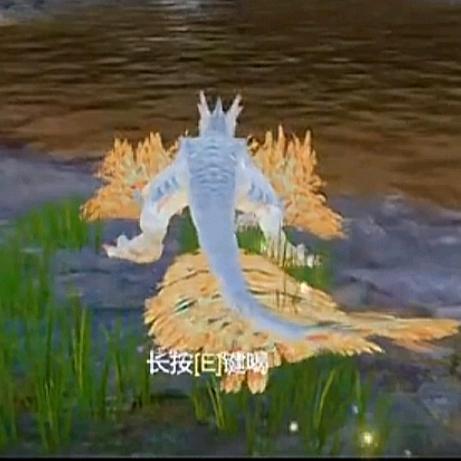༒࿈ 人生本过客༙྇࿈༒