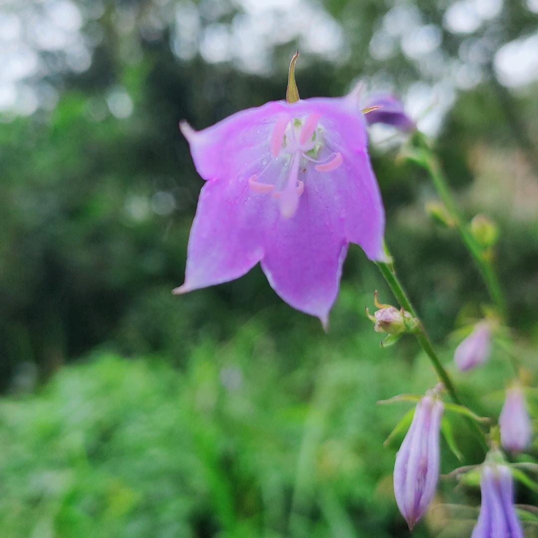 给自己放个假🍀
