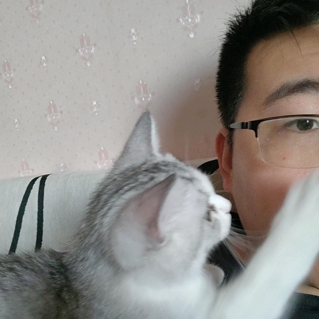 🐱小七的日常🐱