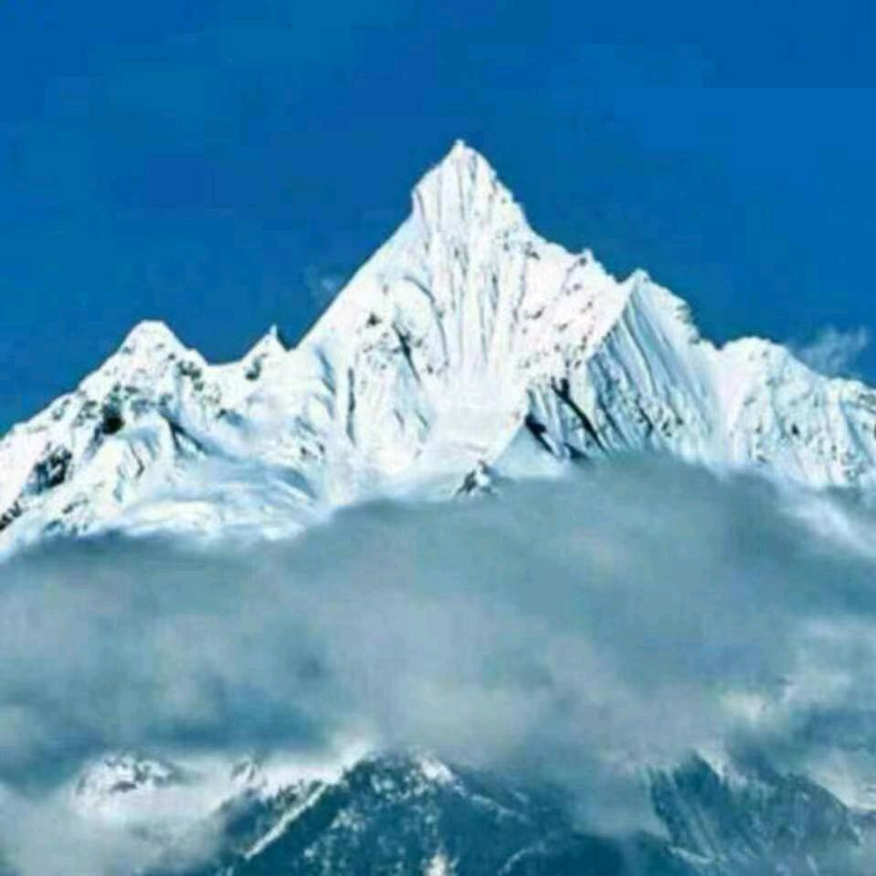 斯朗森格💜💍