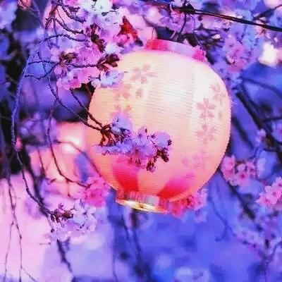 月  夜