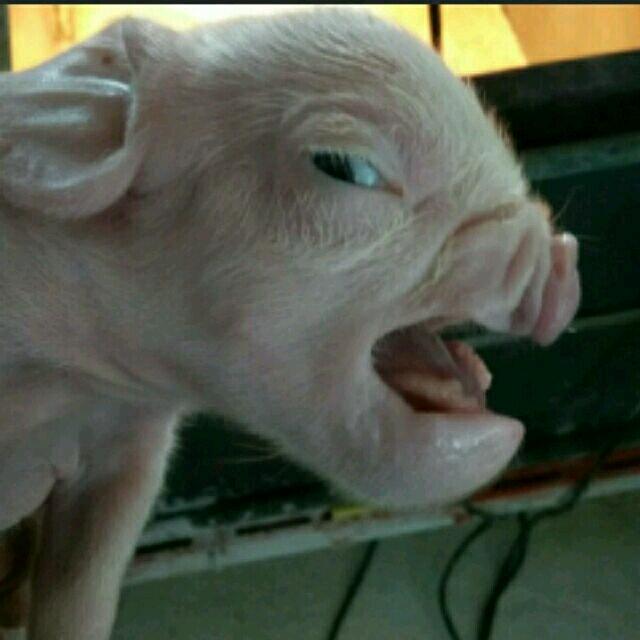 凡人多凡事