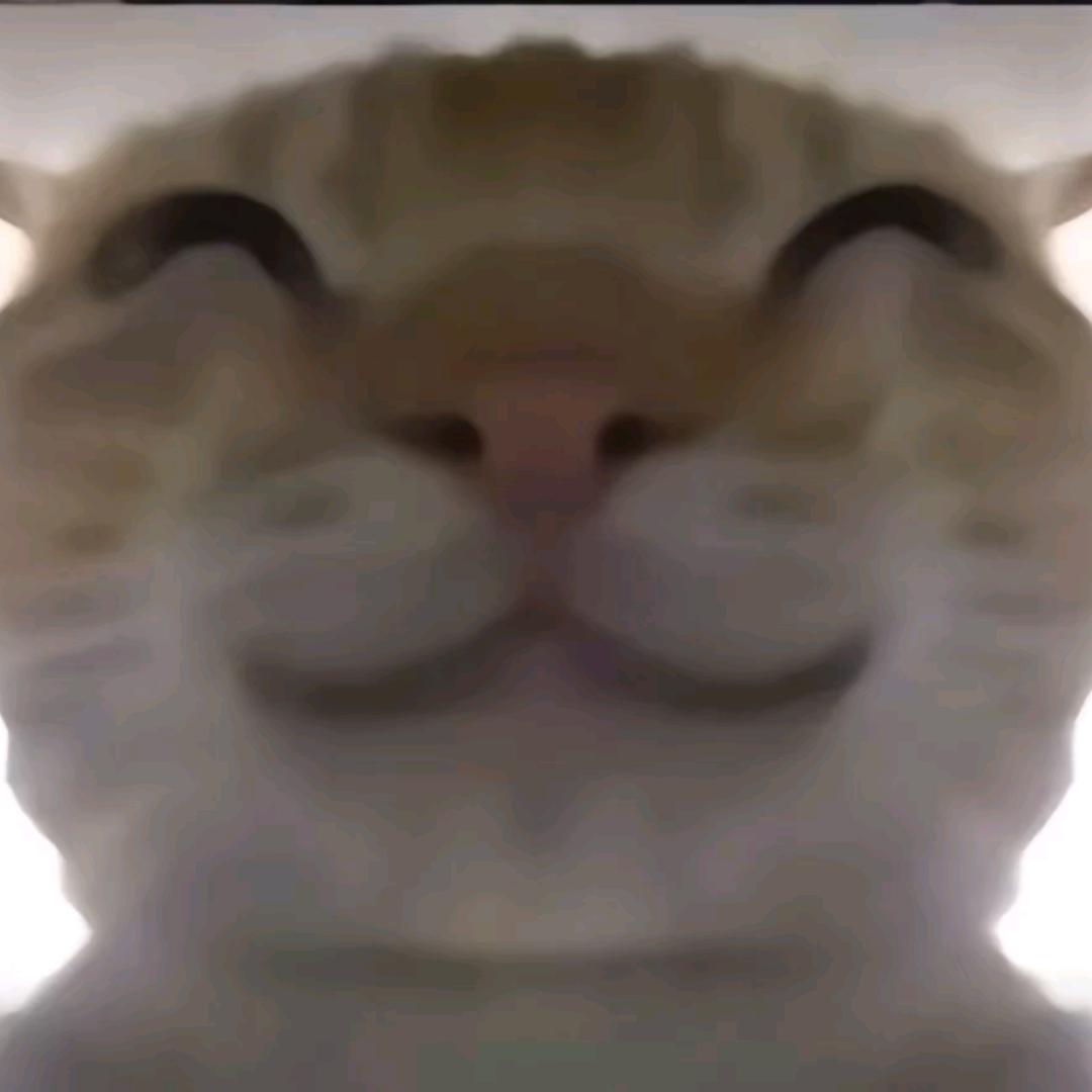 小悠不忽悠（进厂私信）