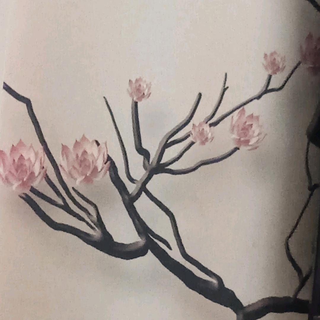 翟廷月