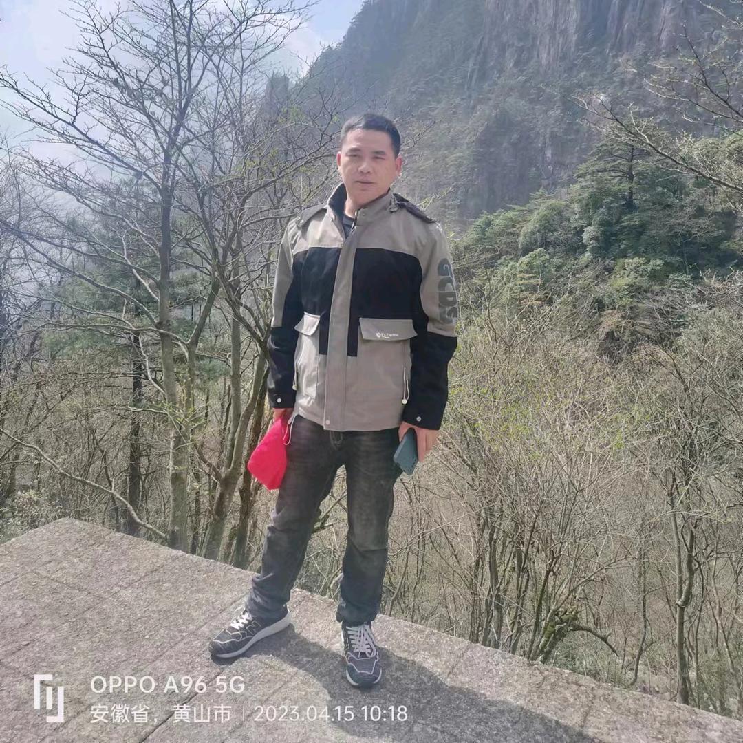 狼的寂寞