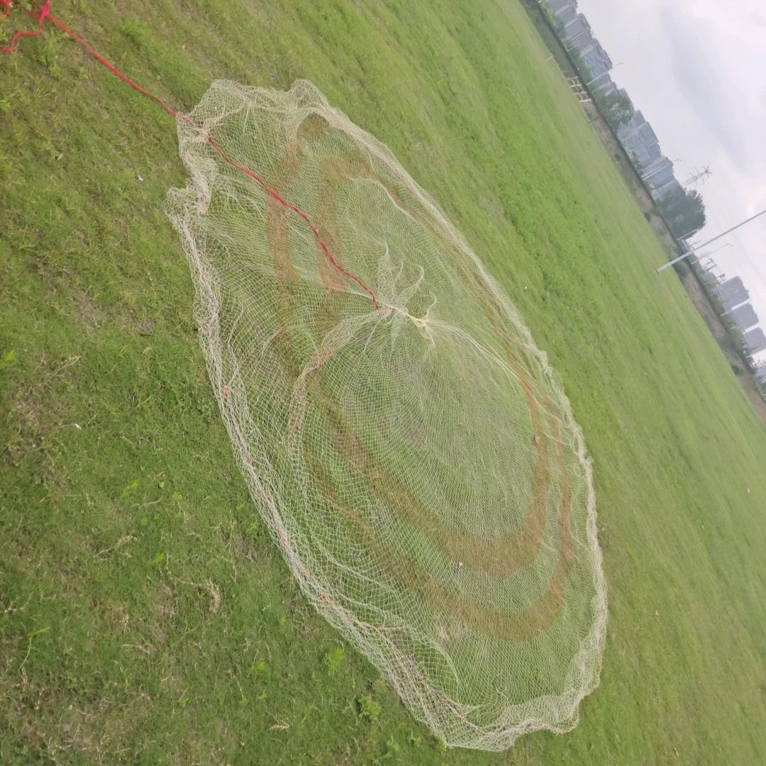 谜渔