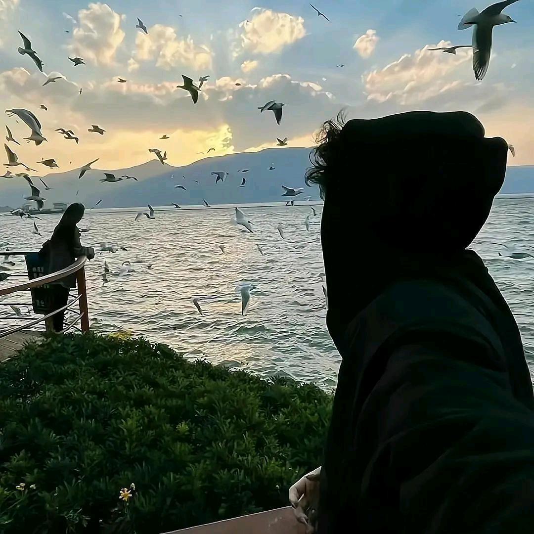 消失的肆玖玖