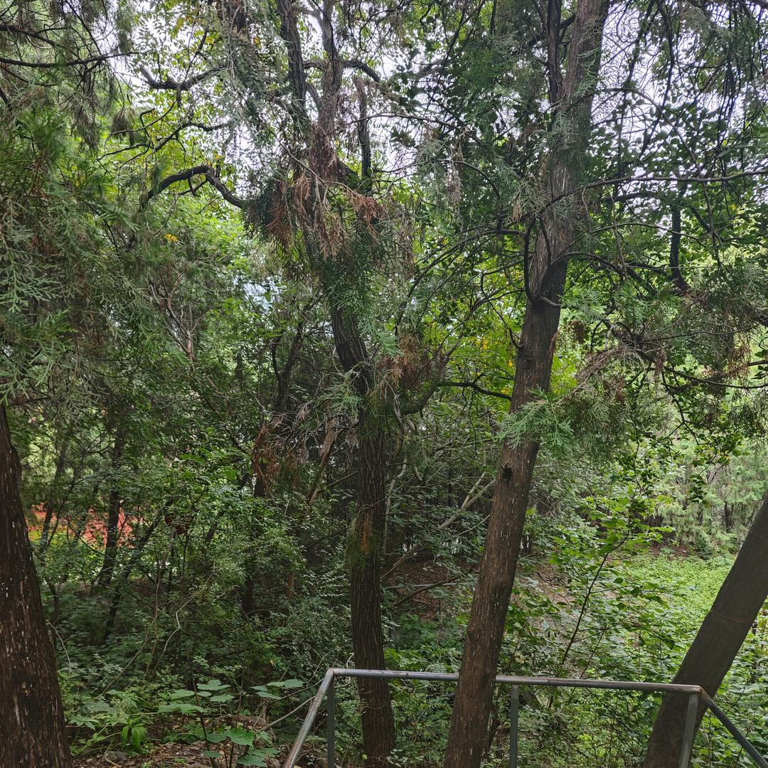 ཀ᭄老ꦿ💞ᩚᩚ࿆王᭄এ