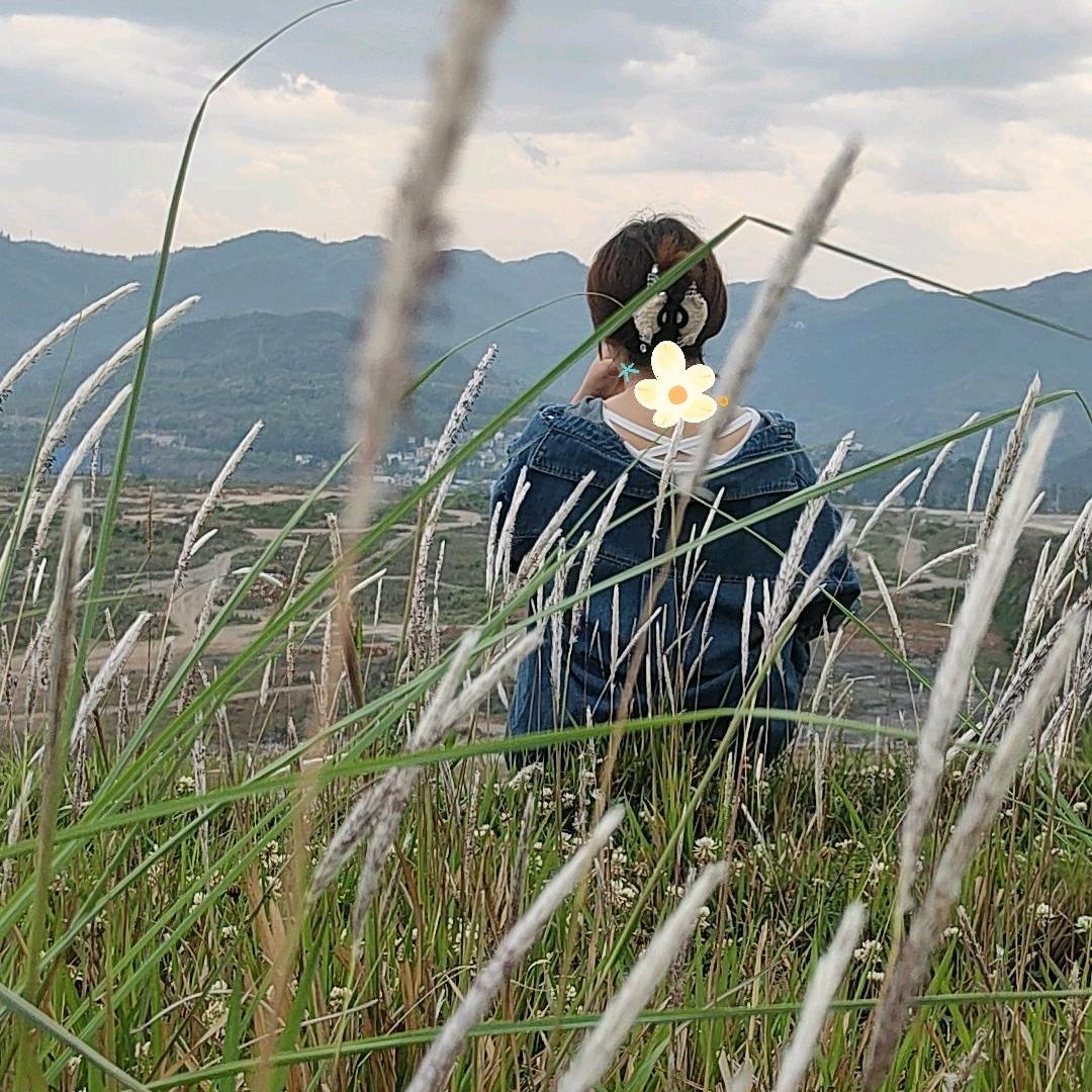 @小金&不睡觉