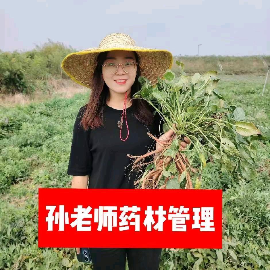 药材增产管理 孙老师