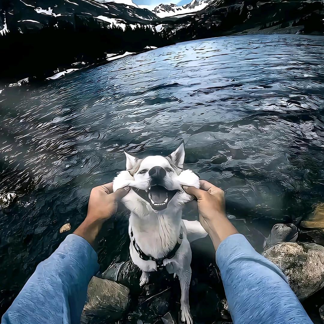 无煎不摧（🌯）