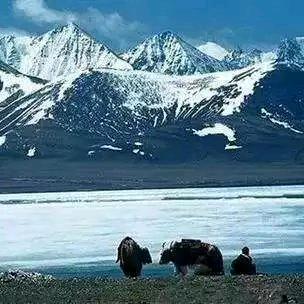 红☀️领🌙青💫雲