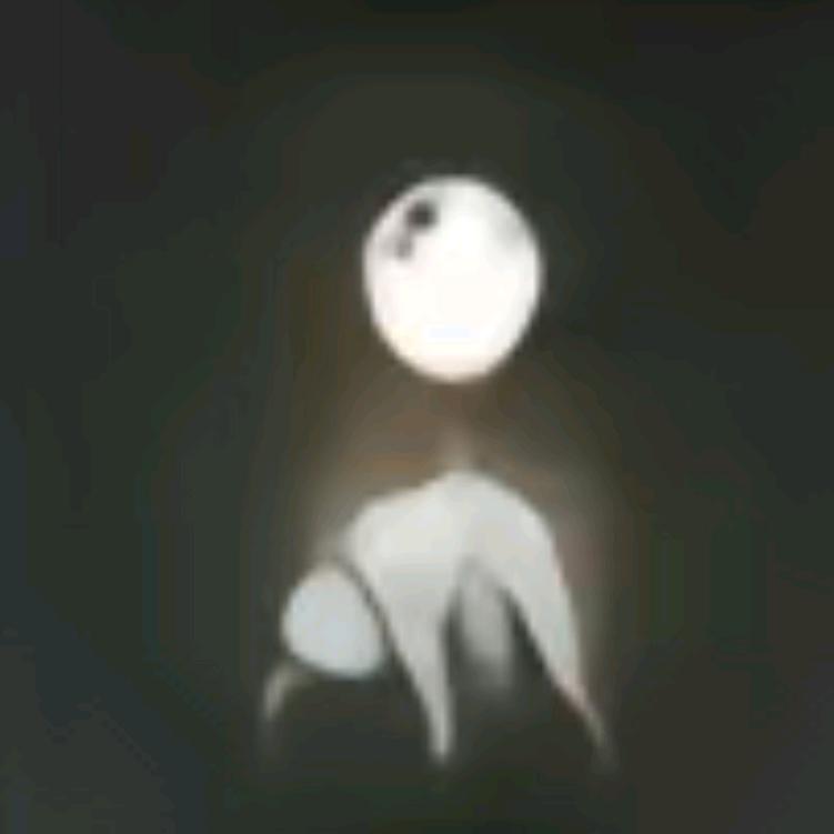 第五人格大蟑螂