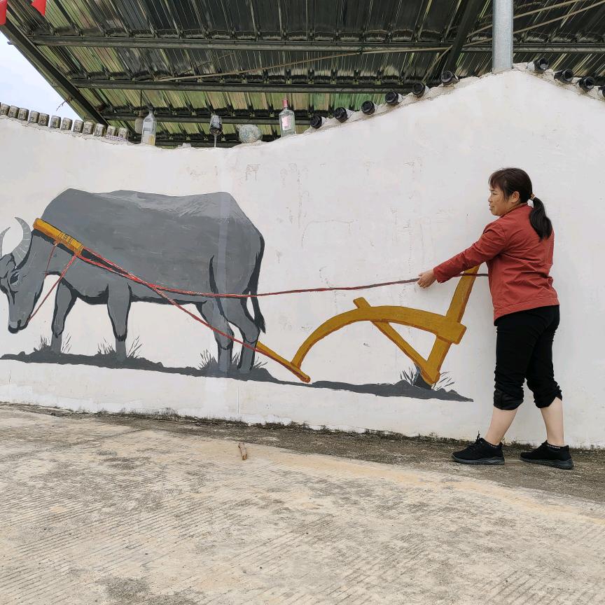 河洲好物的头像