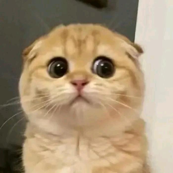 倾听风的声音