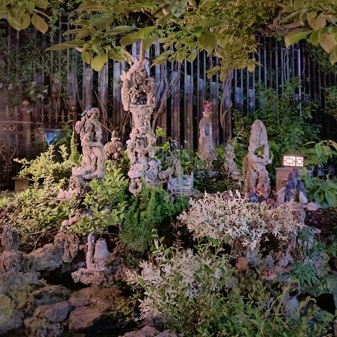龟仙人