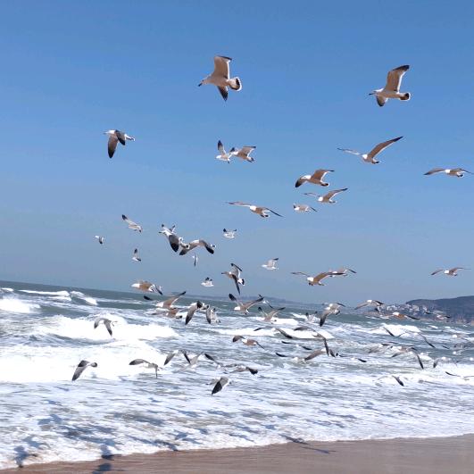 向钱看向厚赚✨✨