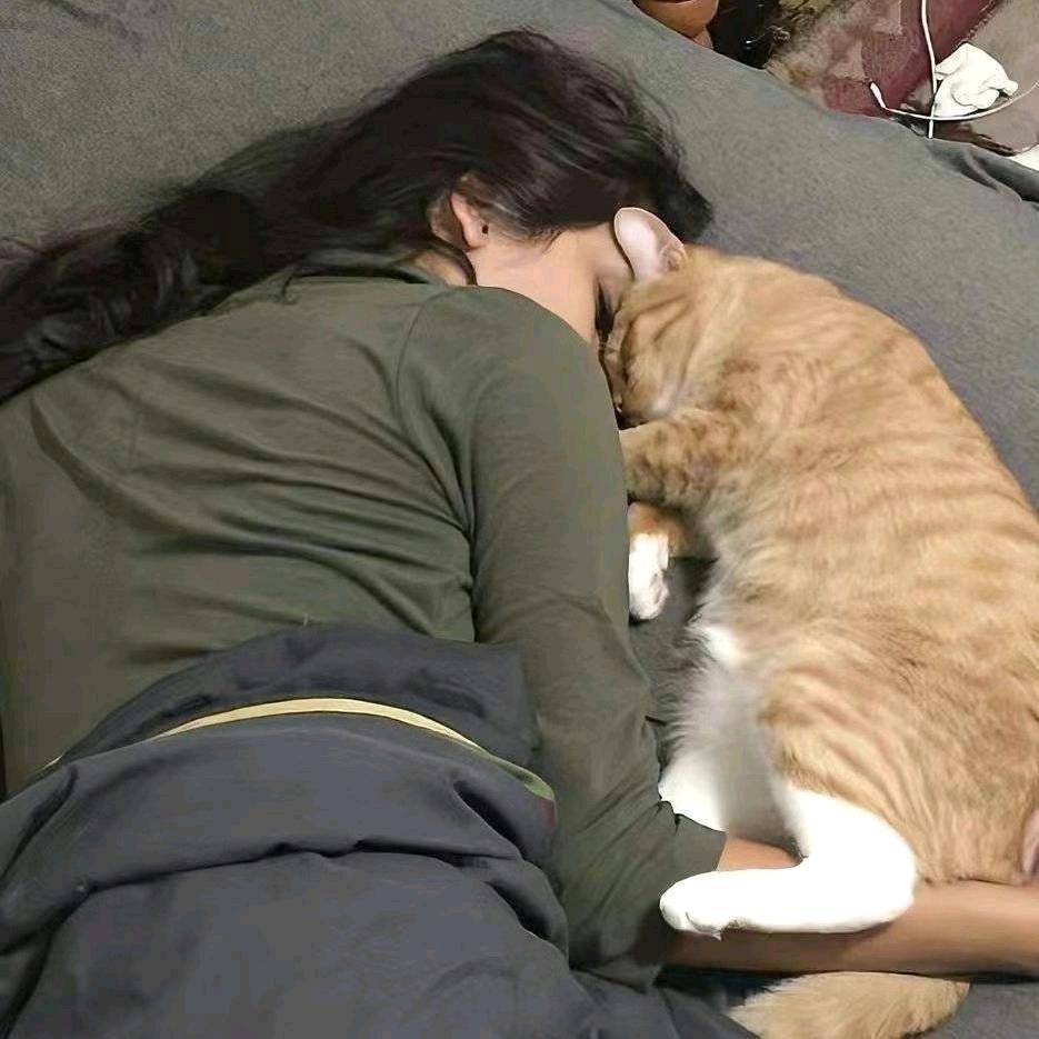 CiCi-