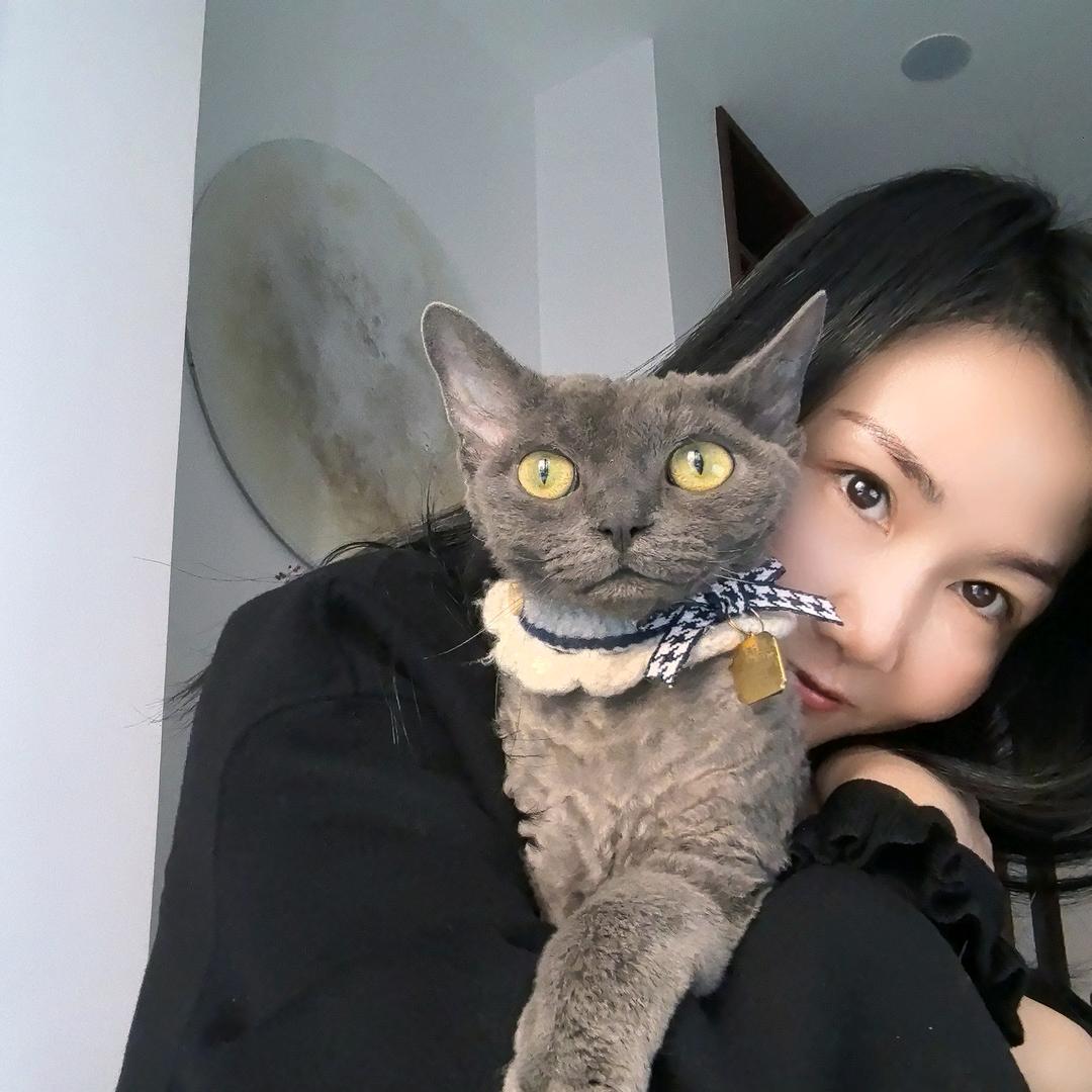 小机灵可乐猫