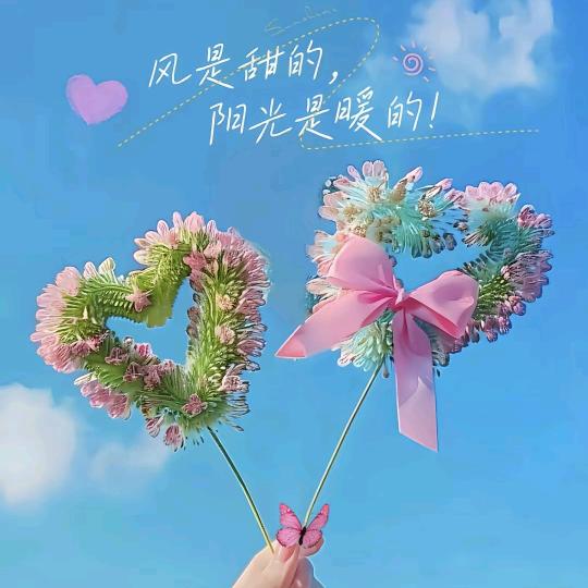 傻丫头$