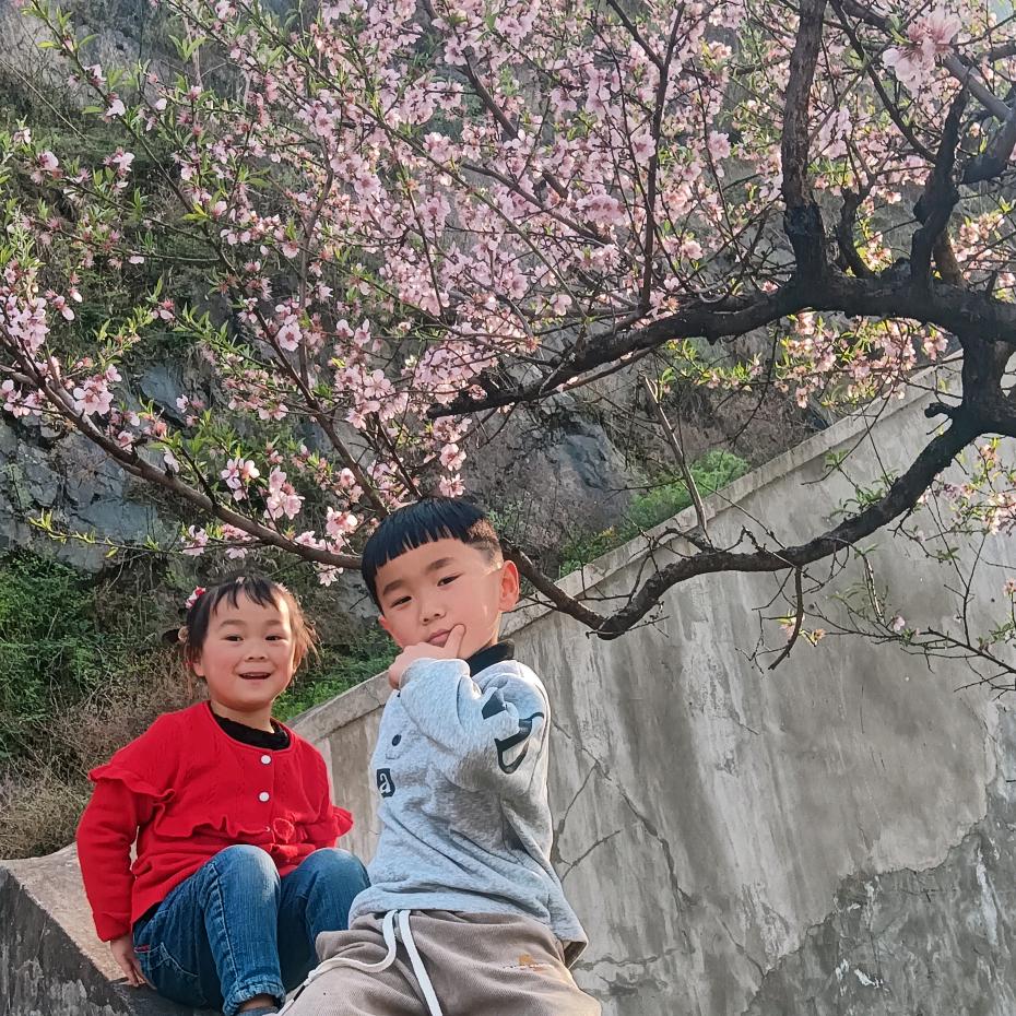 武出精彩（｡ò ∀ ó｡