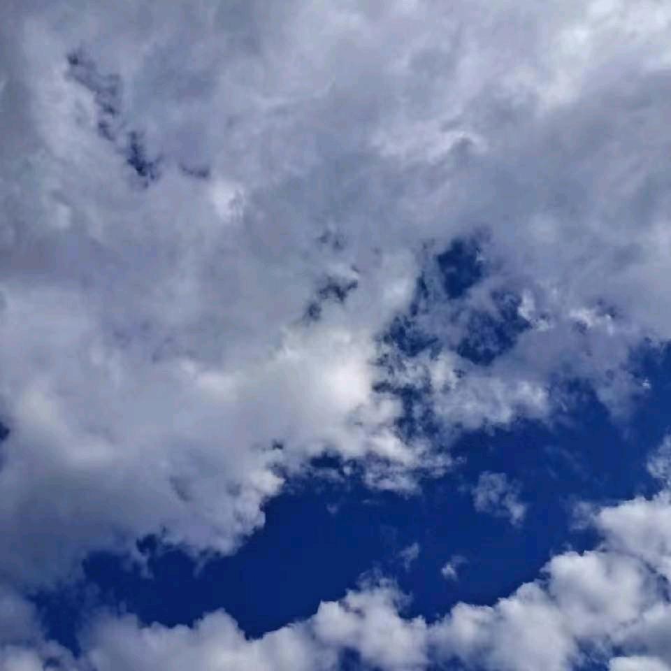 忘与记