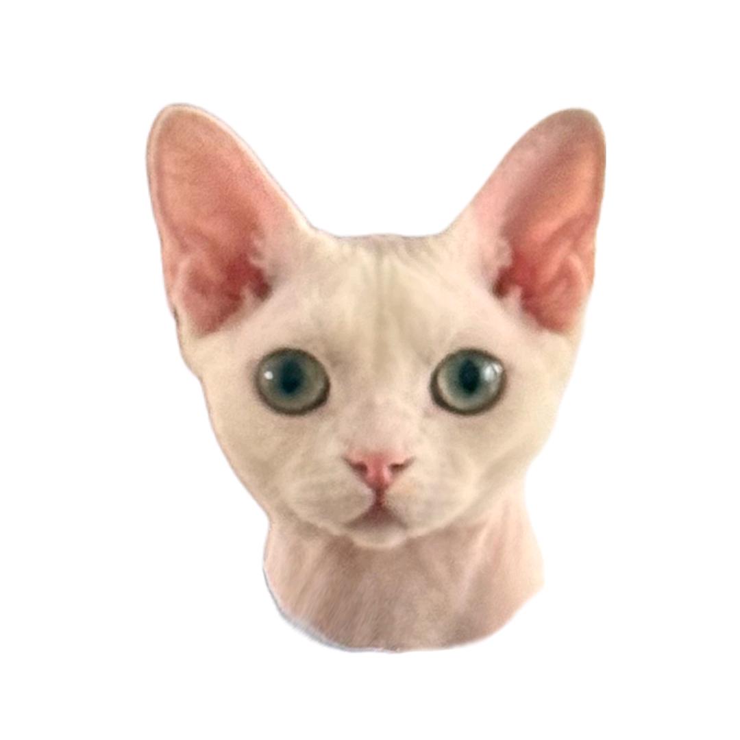 阿伟🤨
