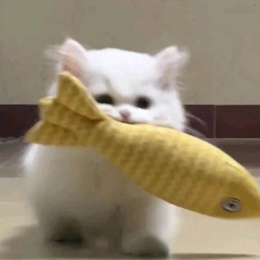 等下舞你几下子