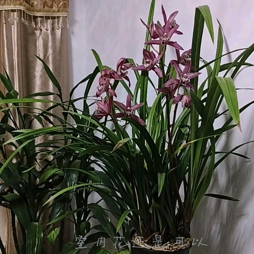 余生ℳ好好ℒ爱>自己♞