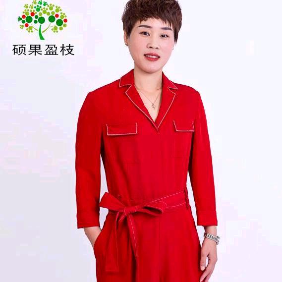 山东硕果盈枝生物 燕丽（大豆肥厂家）