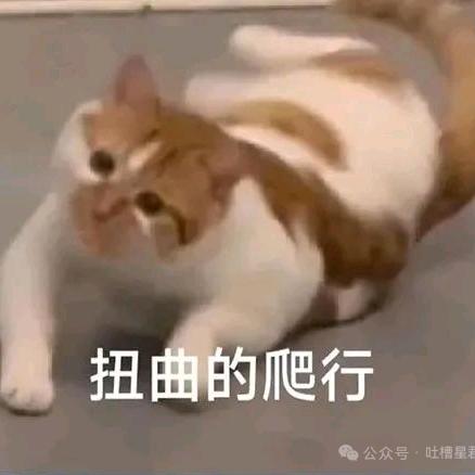 练出薄肌就去擦边