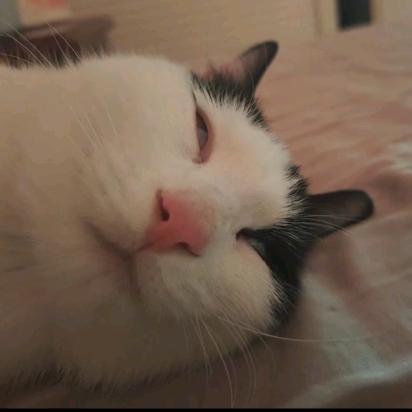 i 人小蒋的生活日记