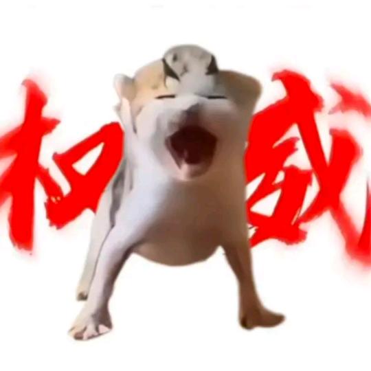 开森