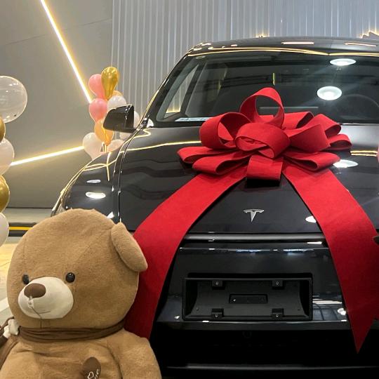 李木子聊特斯拉（有思想的焕新y车主）