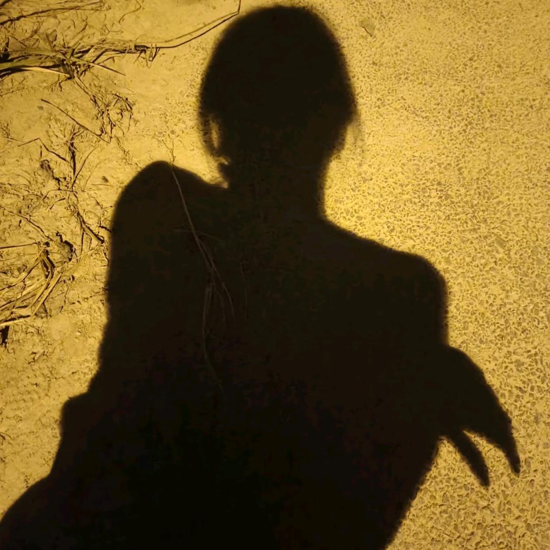 郑州～艾灸养生