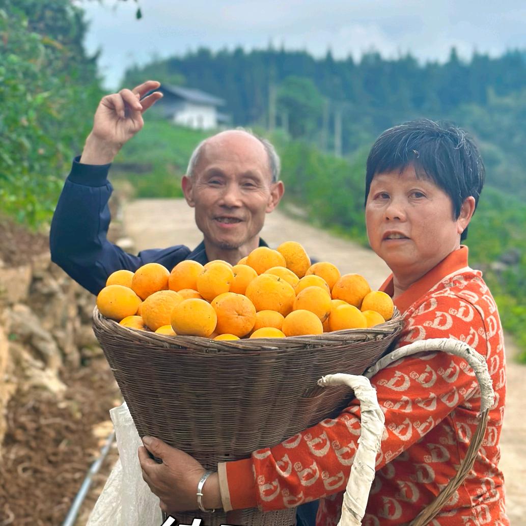 广场舞美连姐