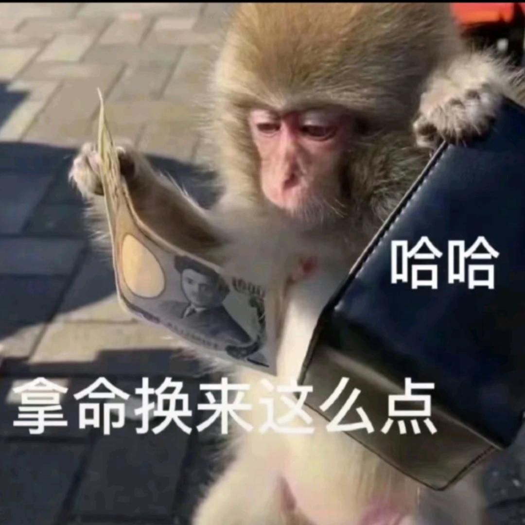马喽(代肝)