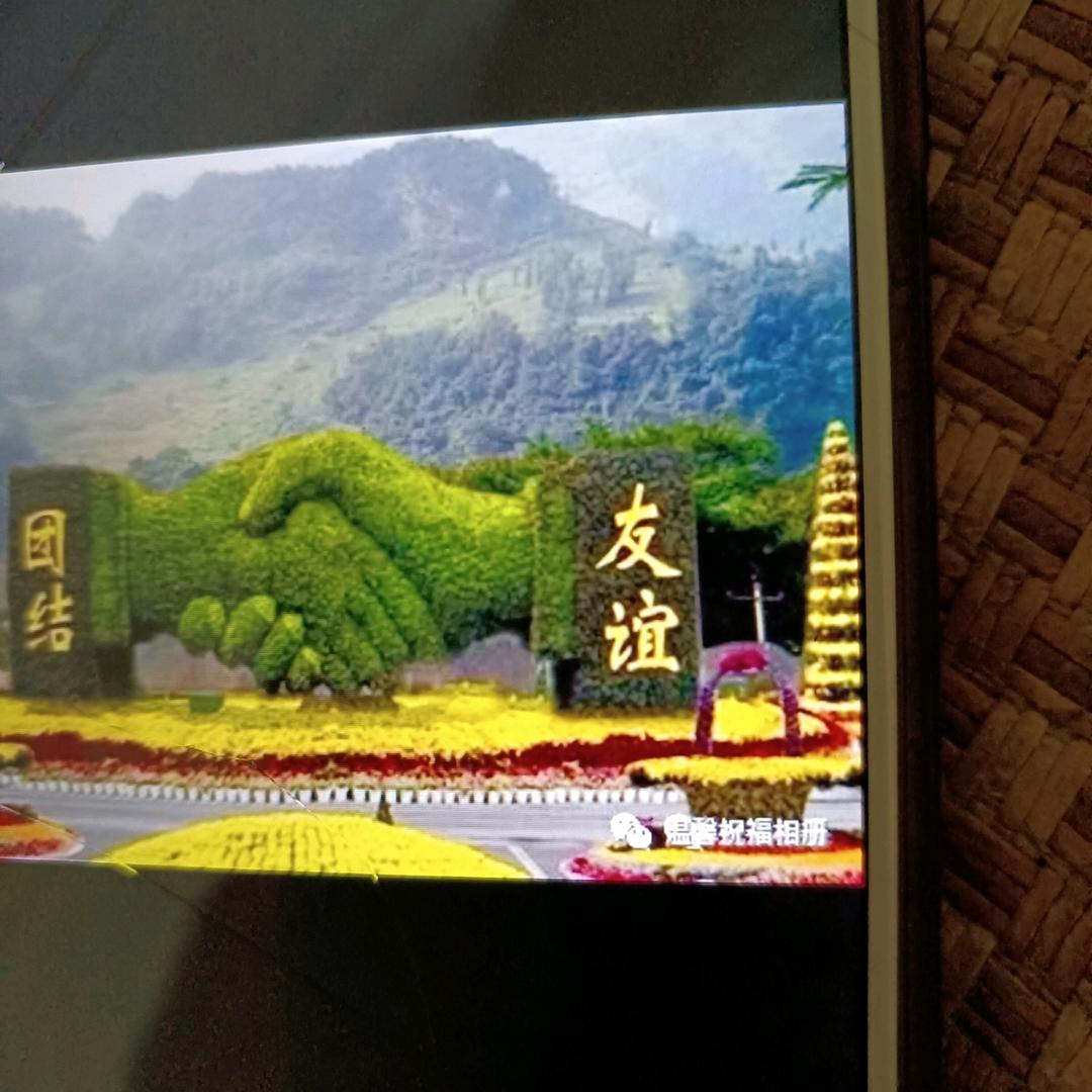 啄木鸟