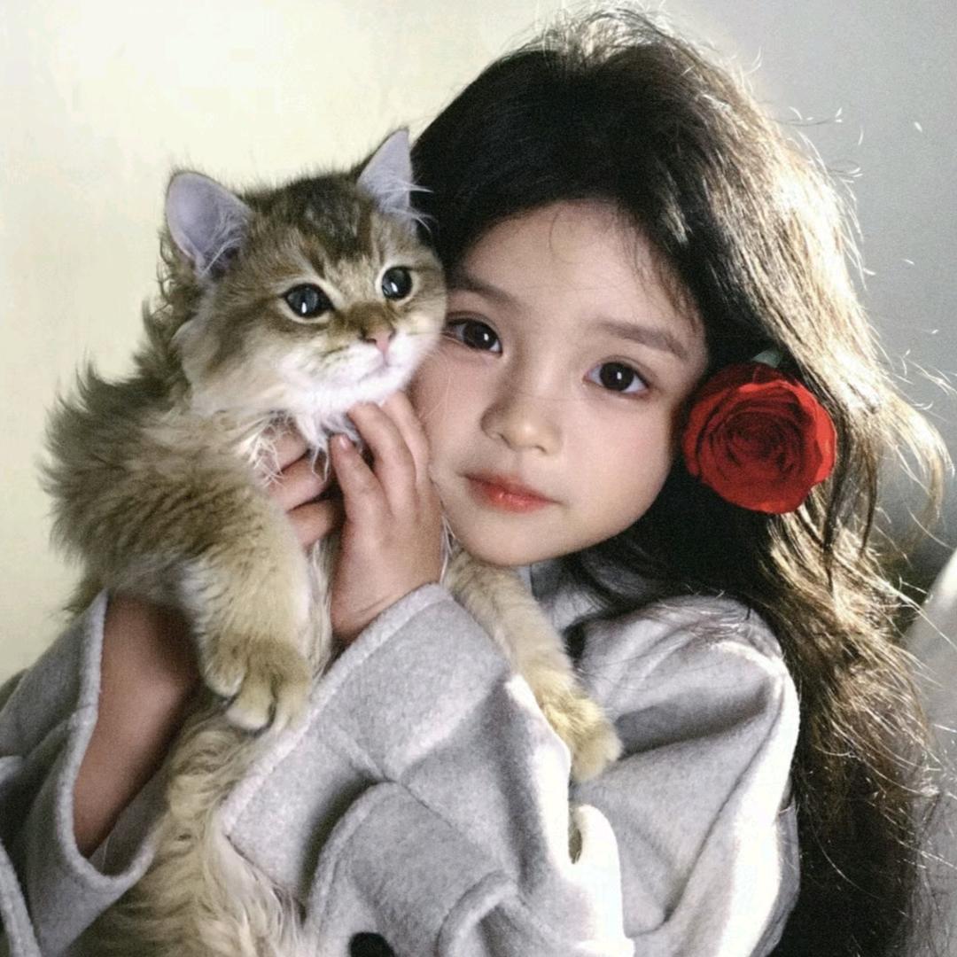 小董˙Ⱉ˙ฅ（7.6登船🛸）