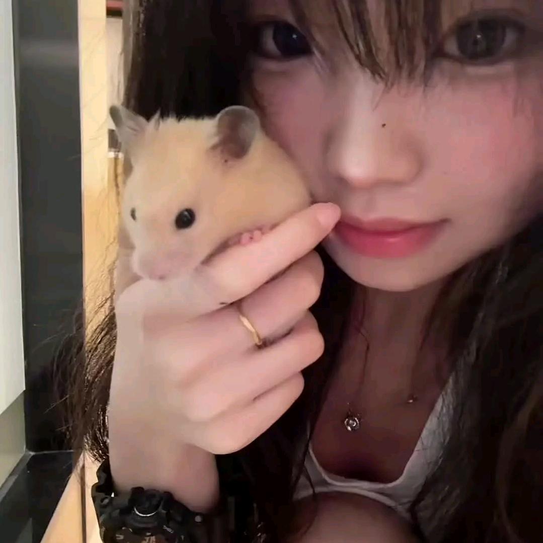 陈佳怡。