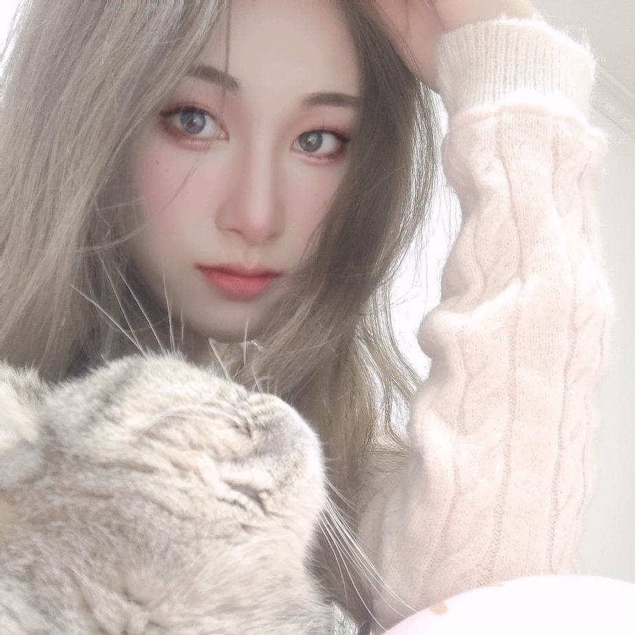 凌晨一点的猫🐱