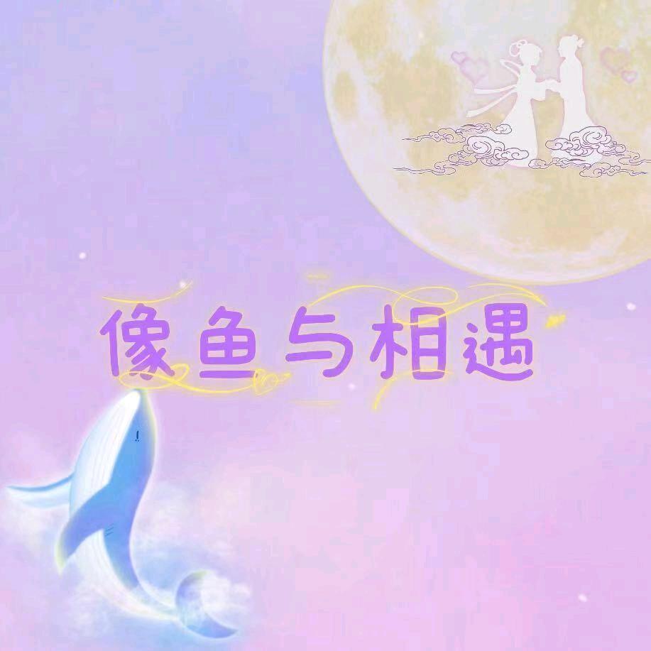 像鱼与相遇