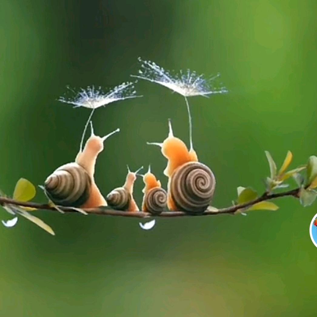 🐌牵着蜗牛去旅行