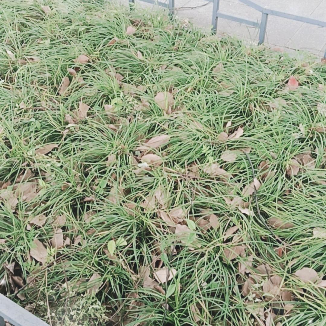 （鑫鑫）积善德福（鑫鑫）夜宵哥