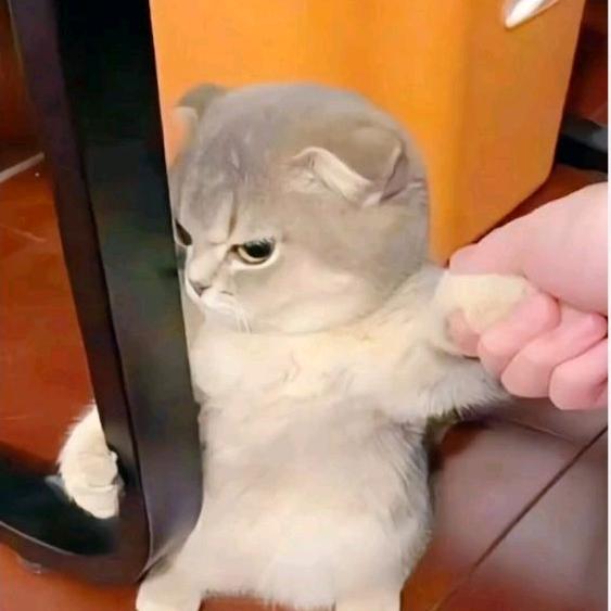 花落知多少