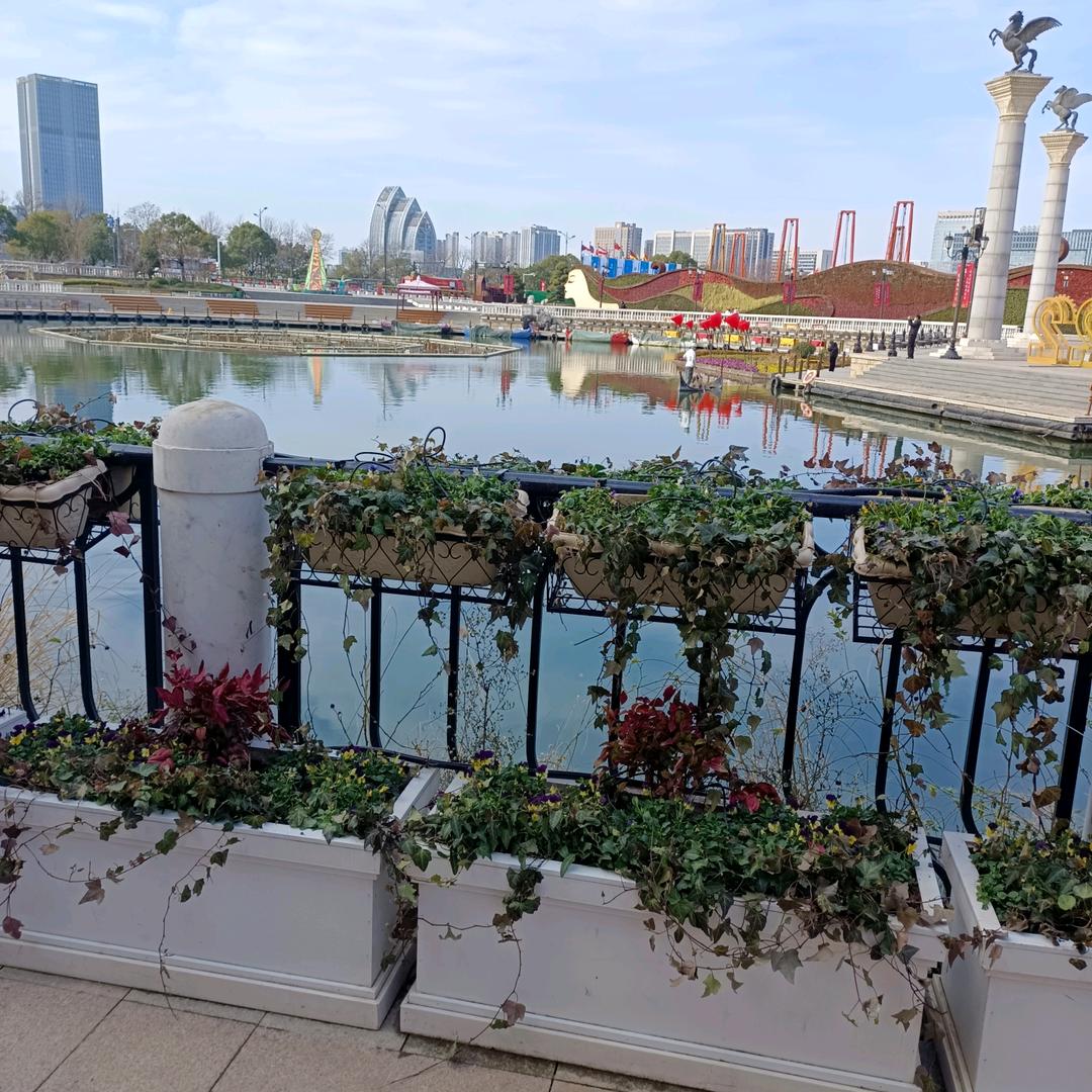 我的人生，我做主。